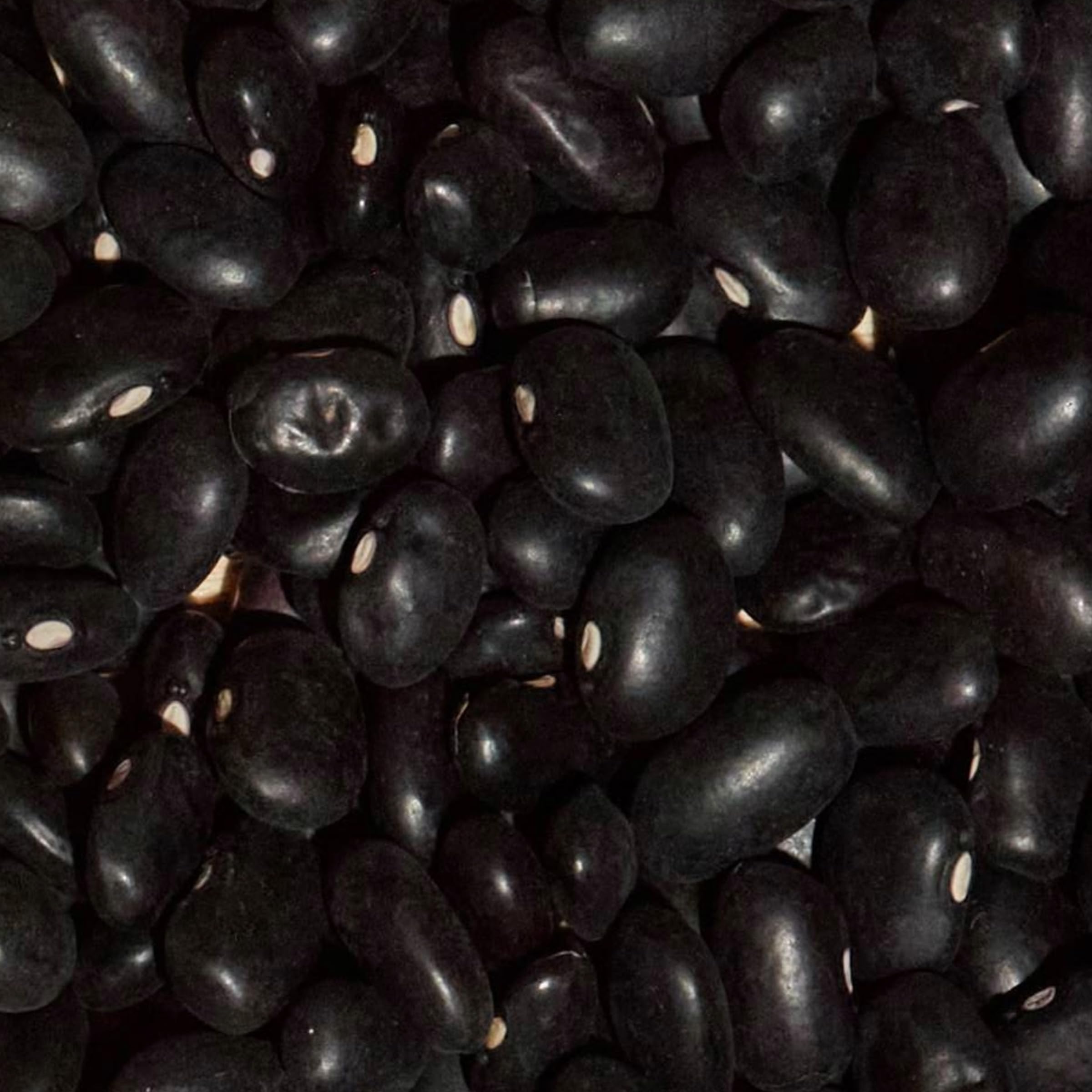 SIMPLi bulk-pack black beans offers value for meal prep