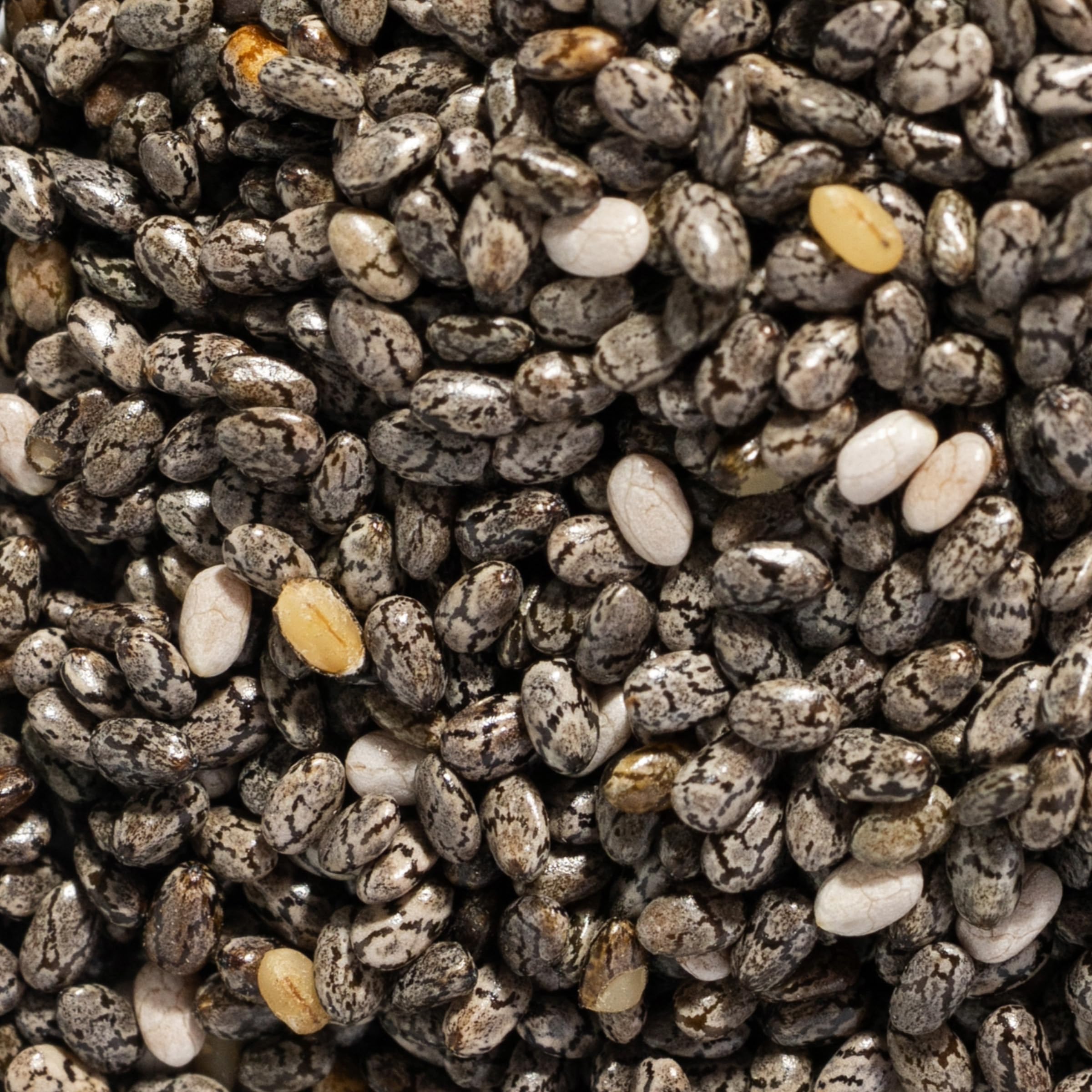 SIMPLi chia seeds in baking, helps with gelation and hydration.