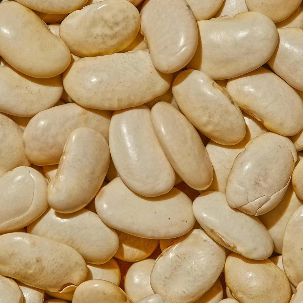 SIMPLi gigante beans soaking in a bowl for quicker prep and even texture.