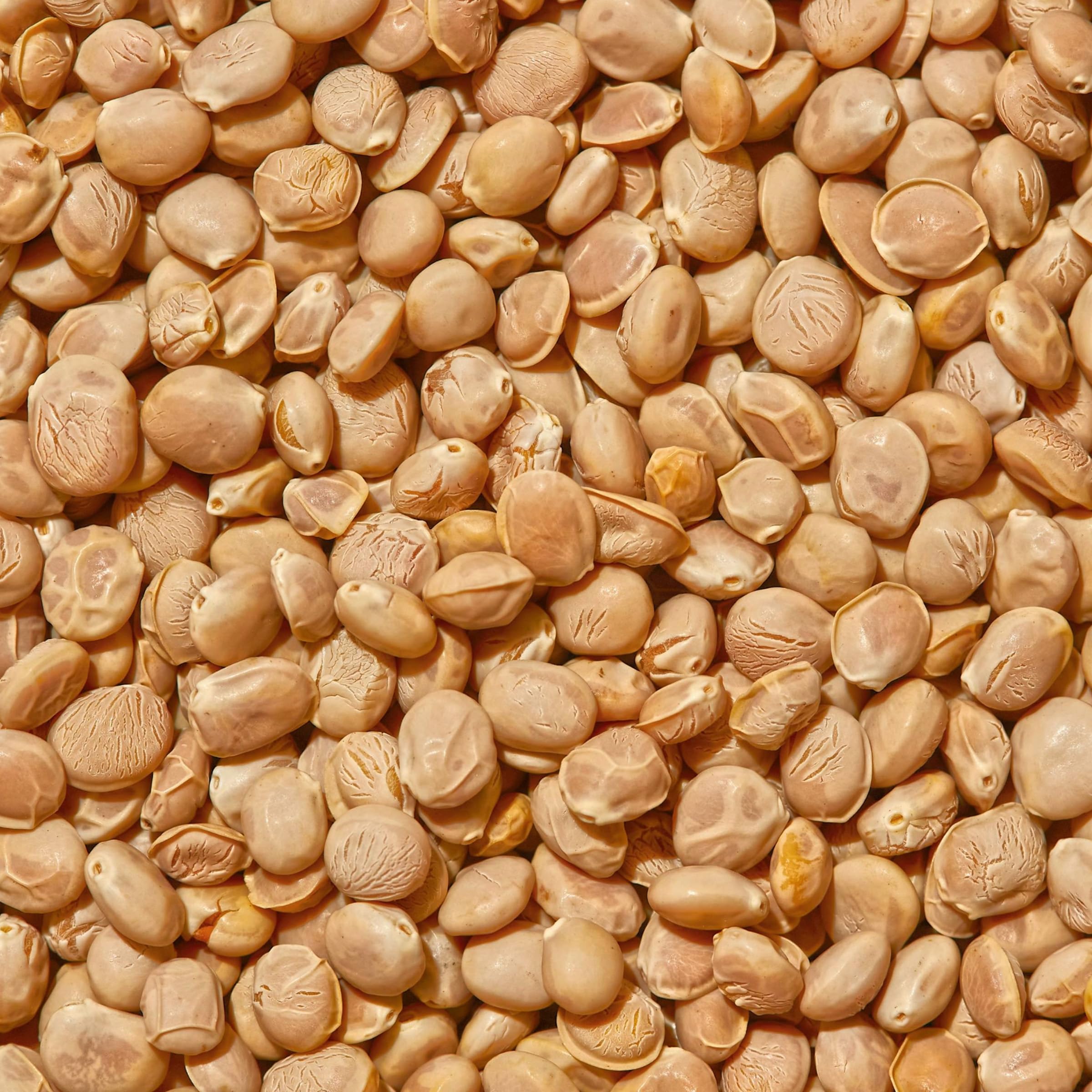 SIMPLi lupini beans grain bowl pairing for balanced meals