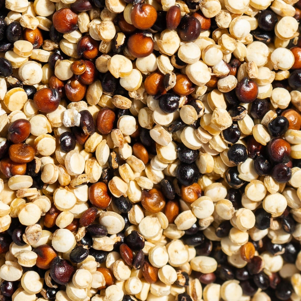 Vibrant quinoa salad with SIMPLi tri-color quinoa and greens.