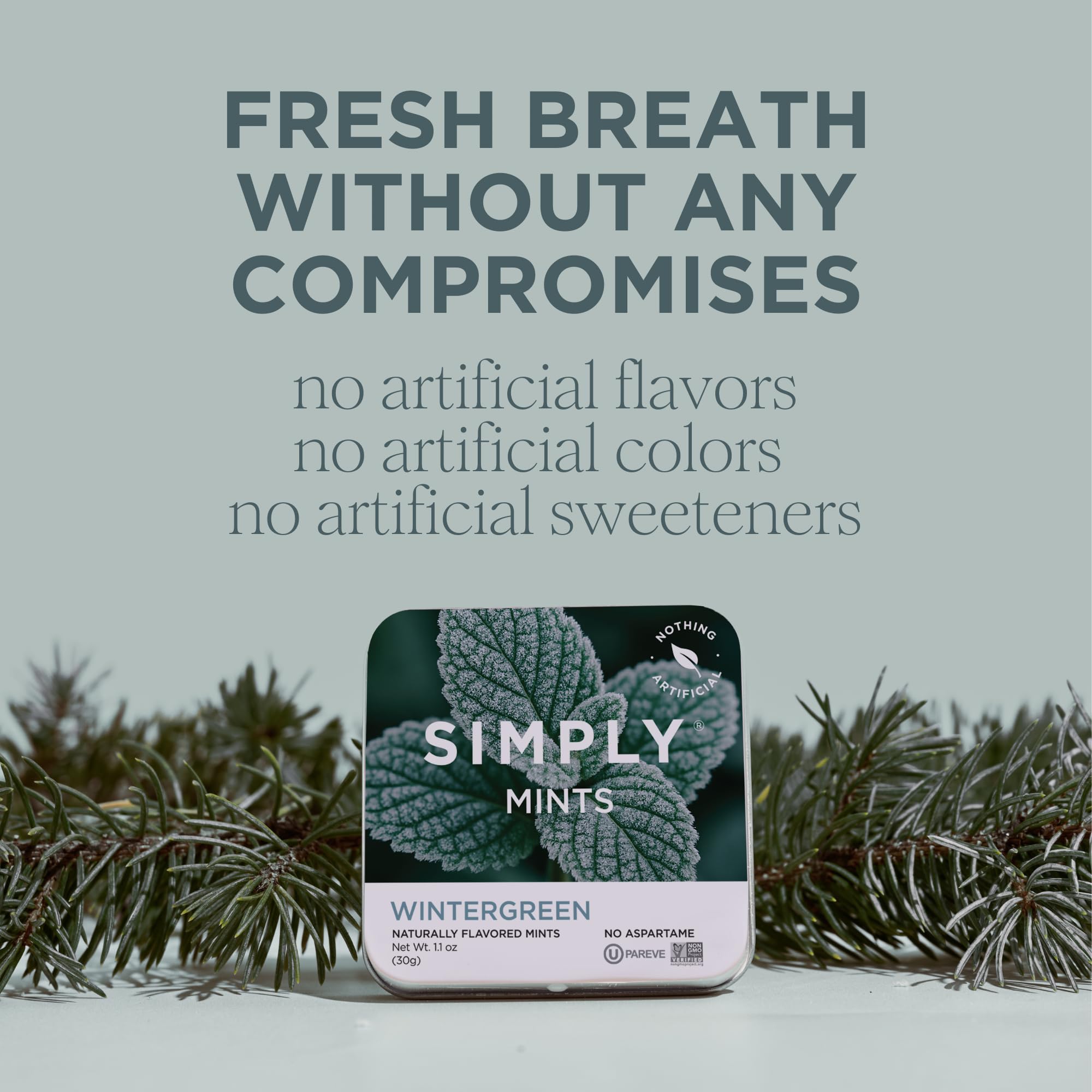 Close-up of Simply Mints wintergreen mints shows natural texture.