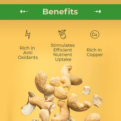 Sincerely Nuts bulk cashews snack portion image highlighting versatile on-the-go snack.