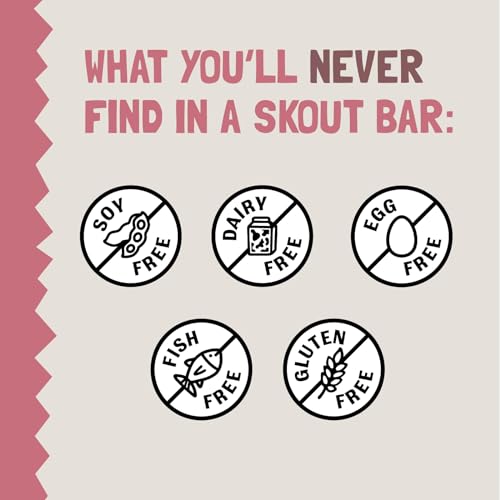 Skout 18-pack pack-shot, convenient on-the-go snack for busy kids.