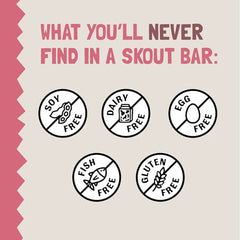 Skout 18-pack pack-shot, convenient on-the-go snack for busy kids.