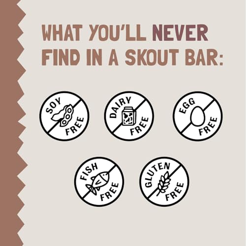 Skout brownie bar in lunchbox, perfect school snack on-the-go.