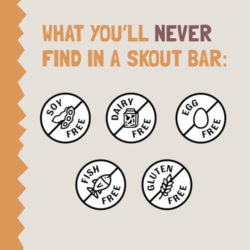 Skout Organic Kids Bar Peanut Butter and Jelly flavor ideal for lunchboxes.