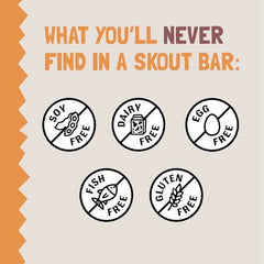 Skout Organic Kids Bar Peanut Butter and Jelly flavor ideal for lunchboxes.