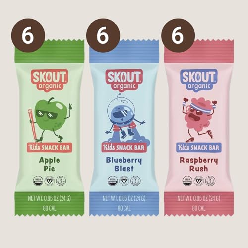 Skout Organic Kids Raspberry Rush bar close-up, perfect after school snack.