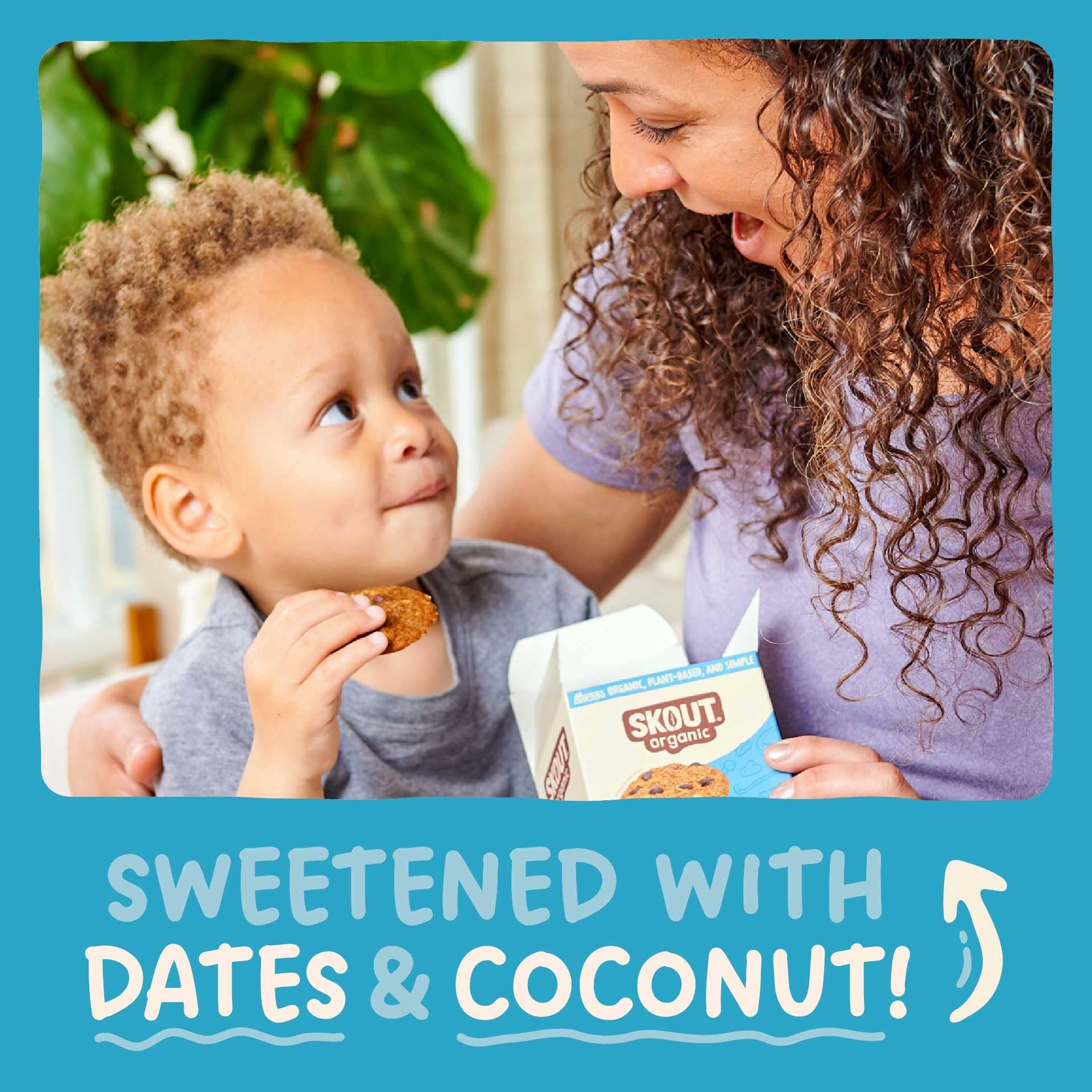 Skout Organic soft baked cookies close-up texture, melt-in-your-mouth feel.