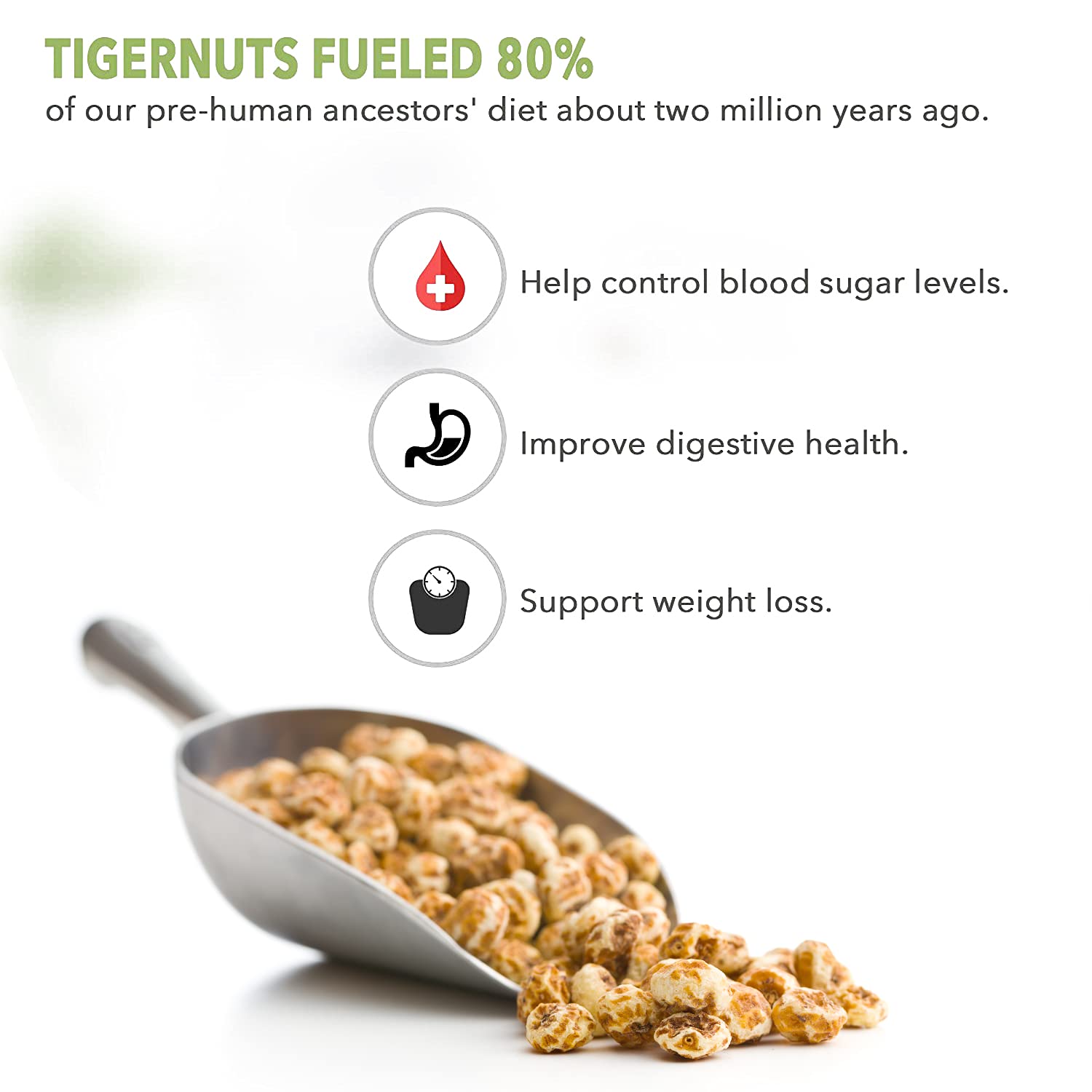 Skyland Kitchen tigernuts in a milk glass, hinting at dairy-free tigernut milk.
