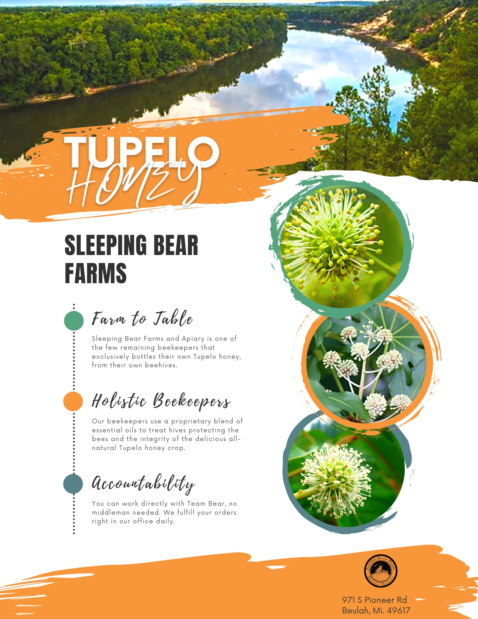 Tupelo blossom trees along Florida river for Sleeping Bear Farms