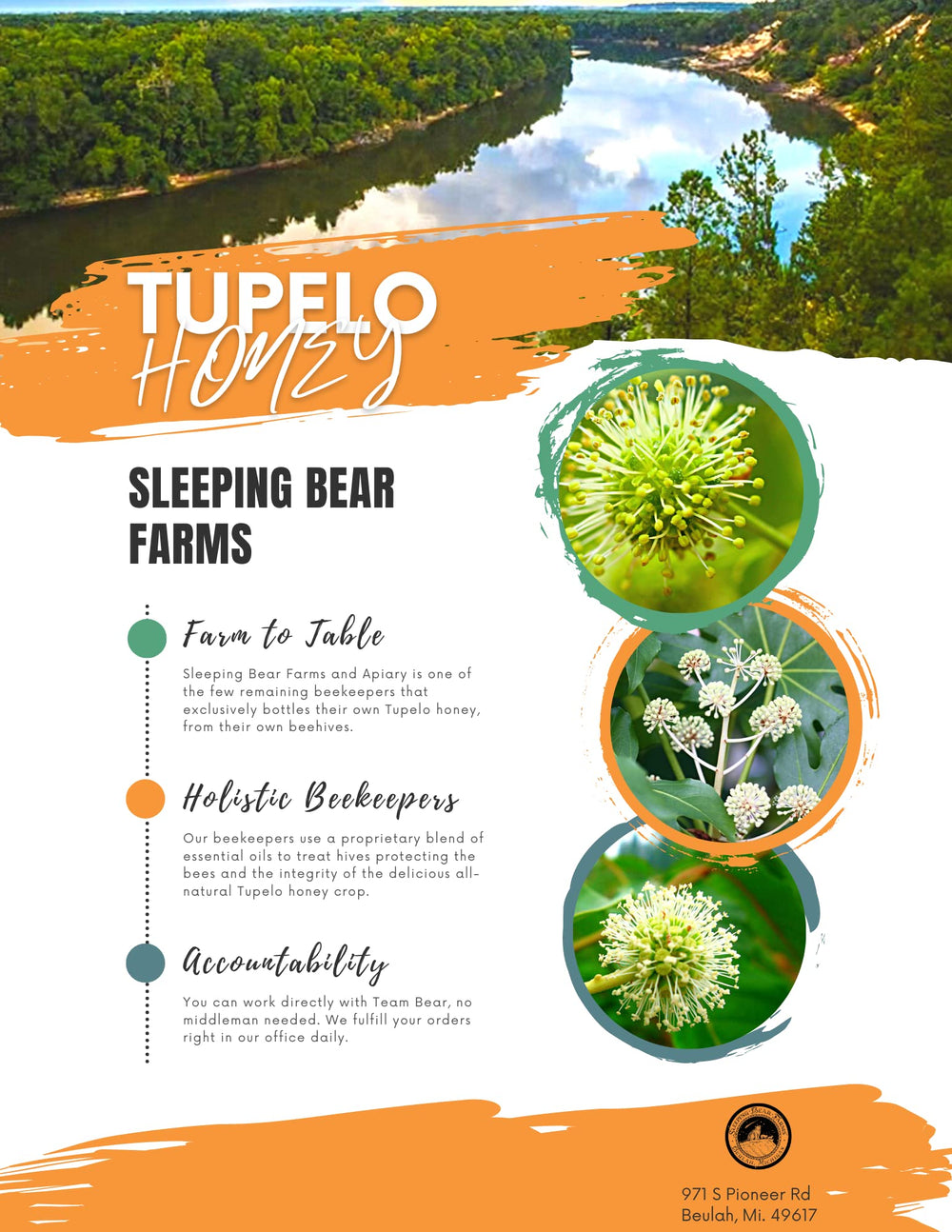 Tupelo blossom trees along Florida river for Sleeping Bear Farms