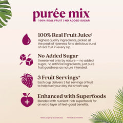 Smartfruit Mellow Mango + Immunity ingredients close-up showing natural purée