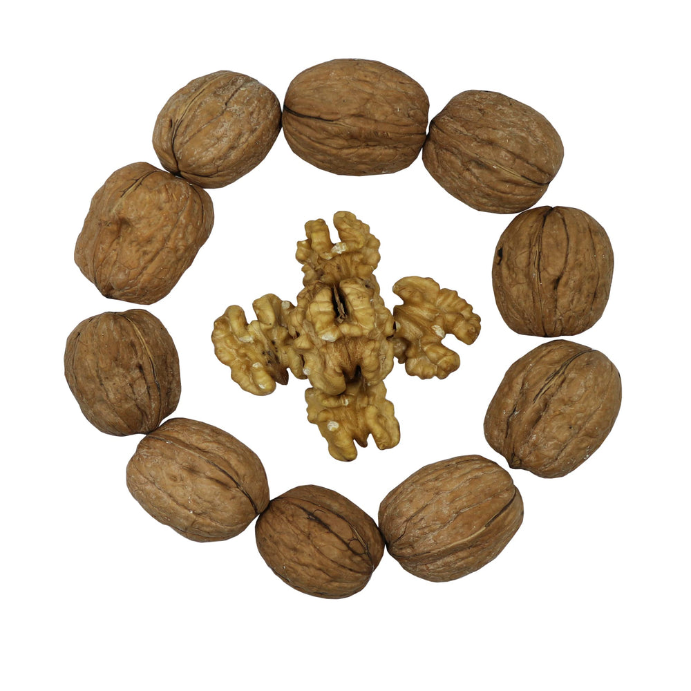Smarty Stop raw walnuts in shell in a 5lb pack ready for versatile cooking.