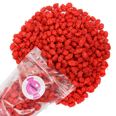 Smarty Stop red candy shell French burnt peanuts in bulk pack for parties