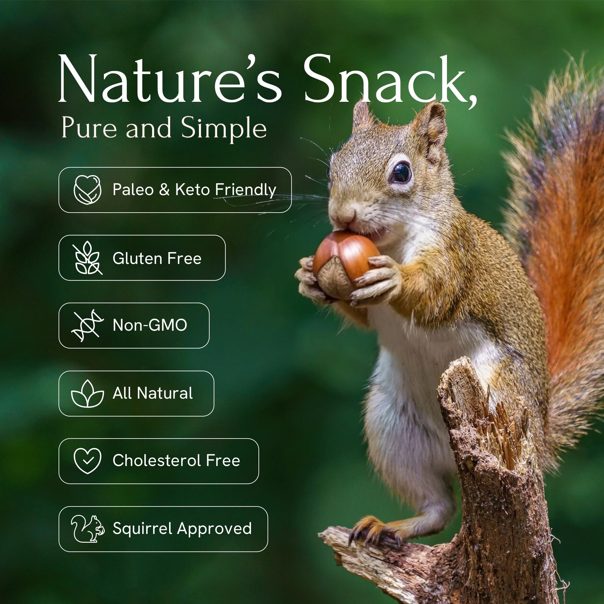 Snackathon hazelnuts bulk bag 2.2 lb for easy storage and portioning