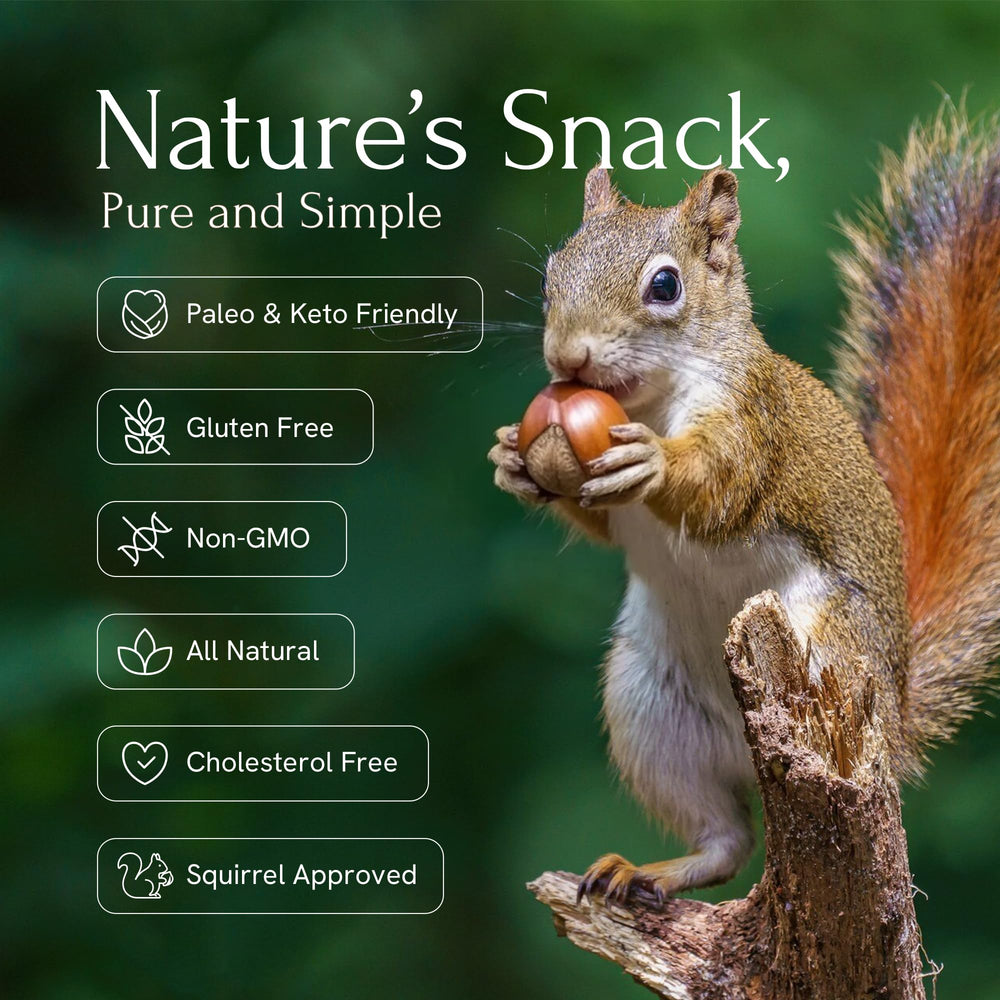 Snackathon hazelnuts bulk bag 2.2 lb for easy storage and portioning