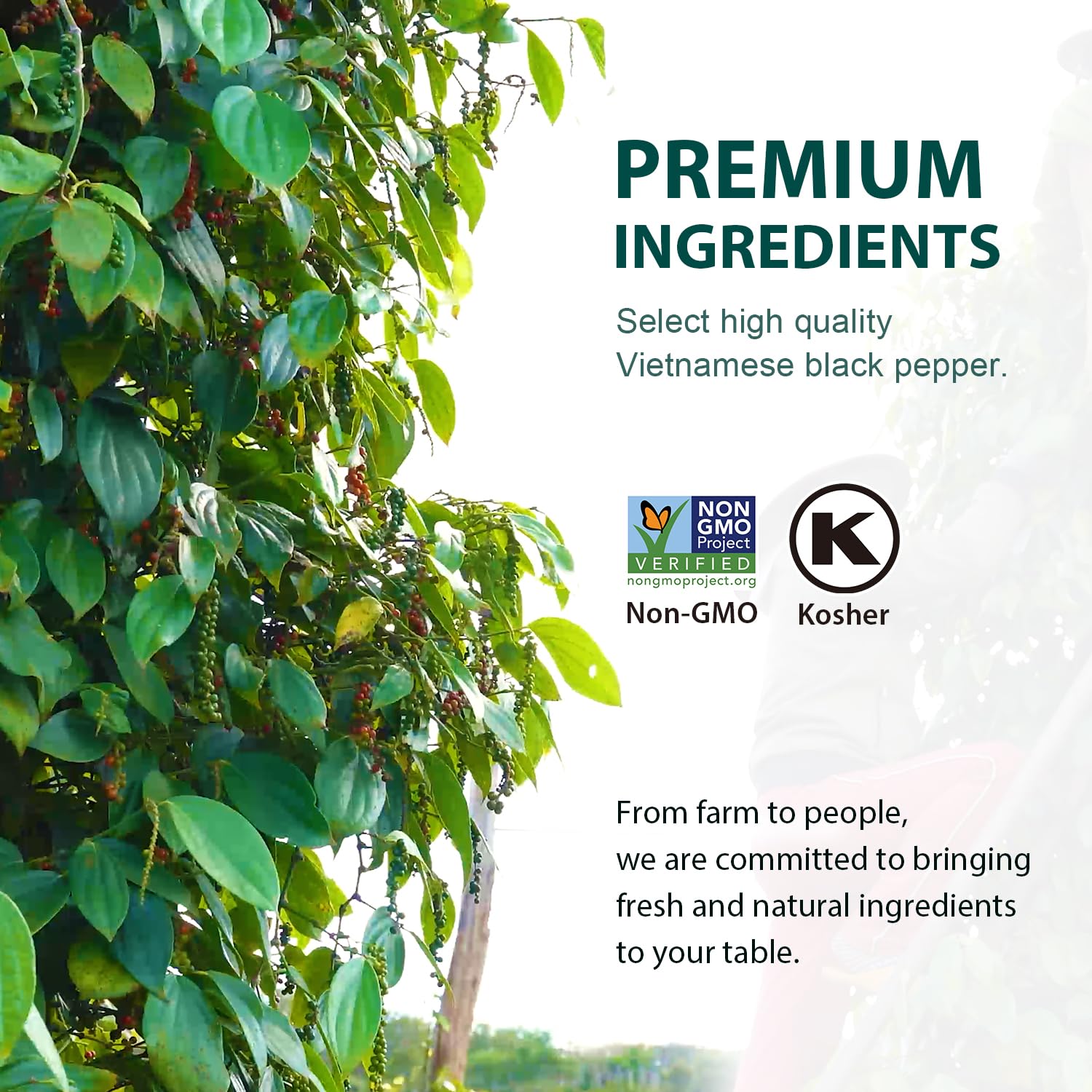 Soeos peppercorns add flavor to soups and stews when ground.