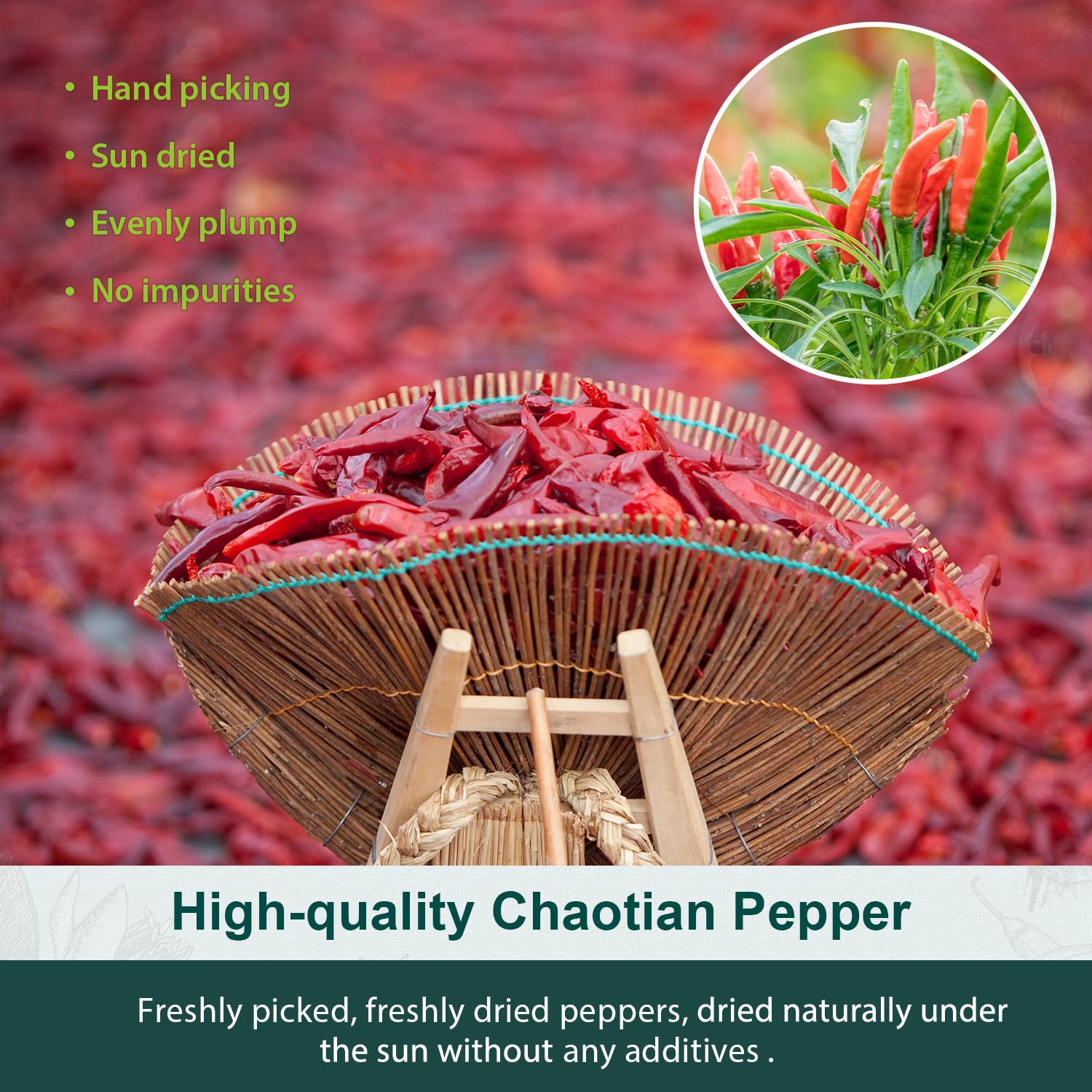 Soeos chili peppers in pantry hint at versatile spice for chili and stews.