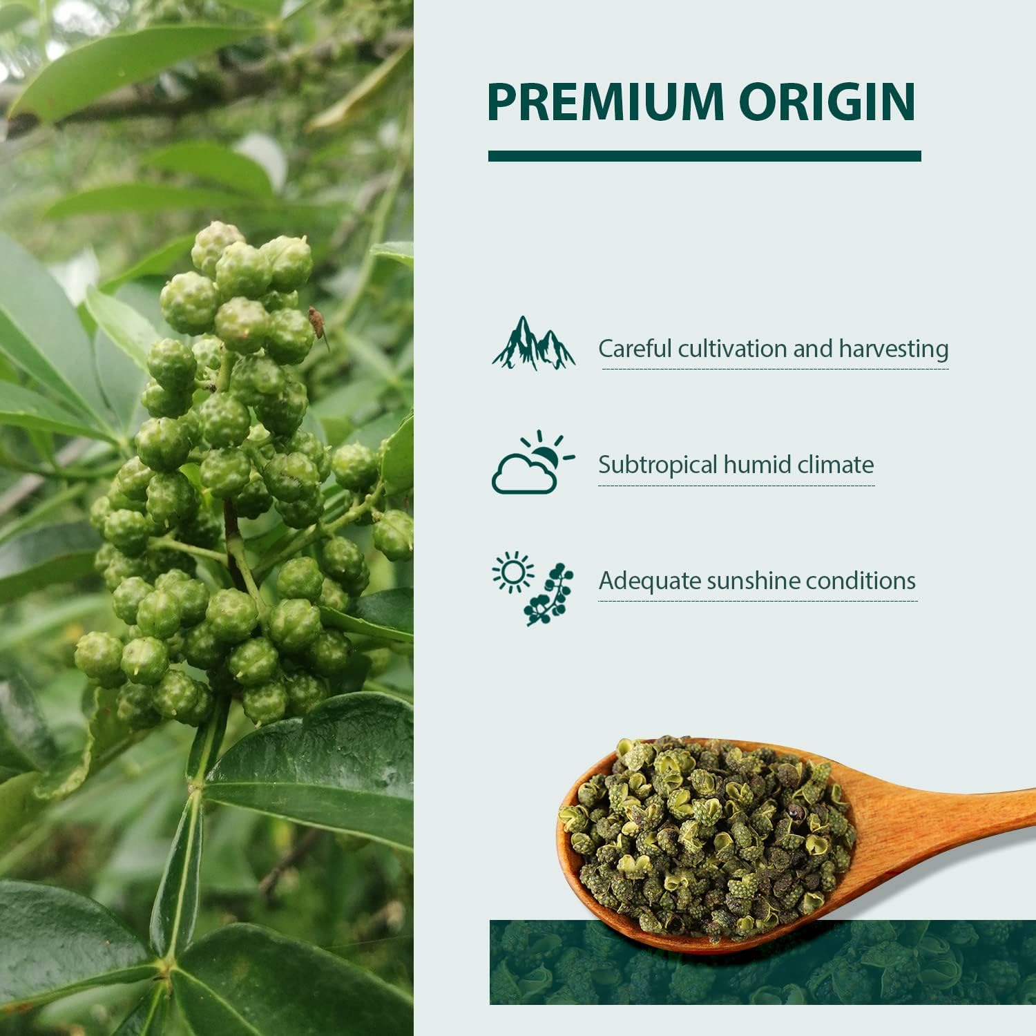 Soeos green peppercorns curry pairing provides fresh, zesty notes.