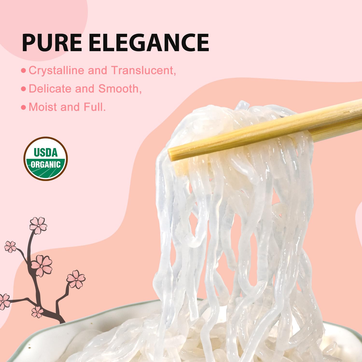 Soeos Konjac Noodles fettuccine with sauce demonstrates versatile meal options.