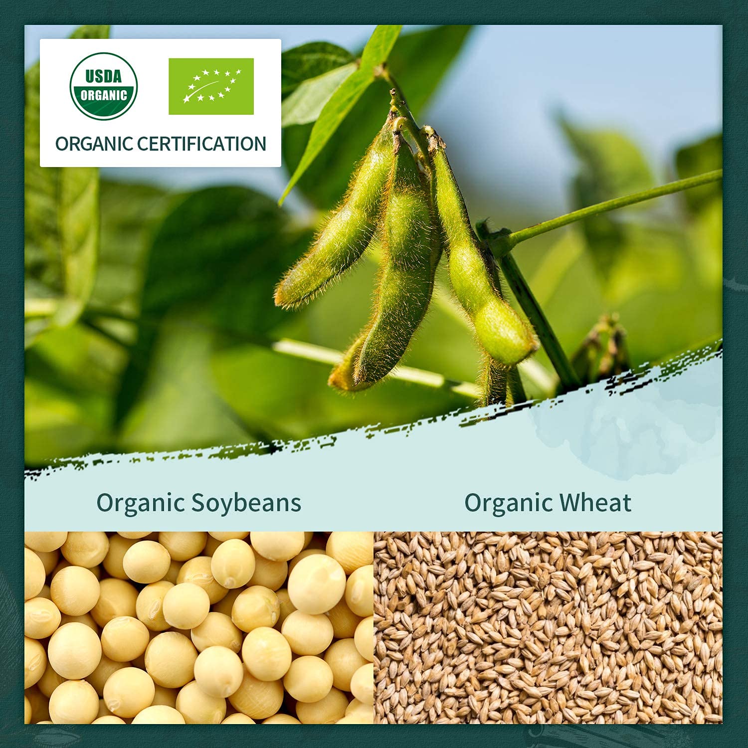 Soeos organic certification label indicates clean, additive-free ingredients.
