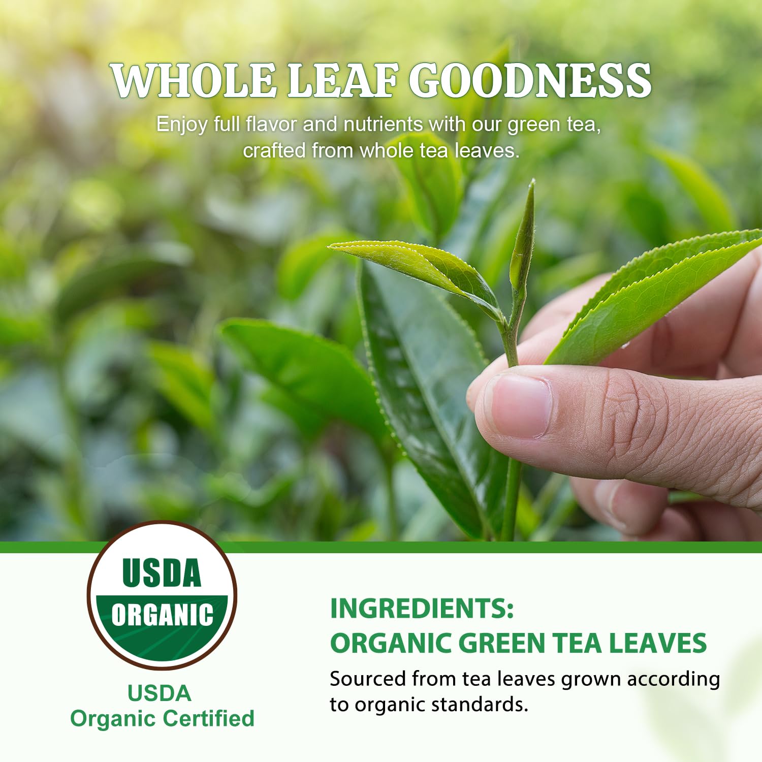Soeos Organic Green Tea iced glass offers a refreshing cold option.