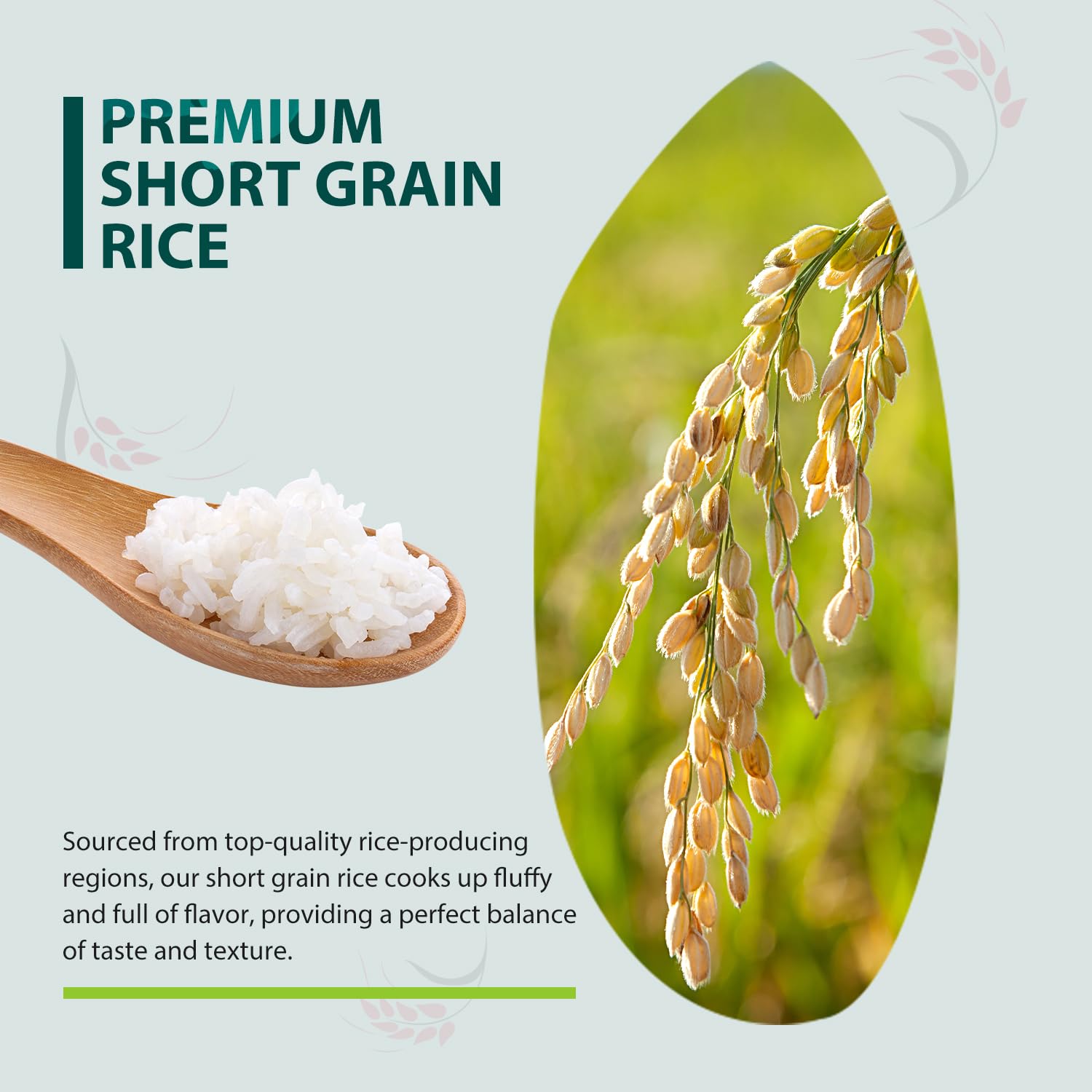 Soeos Sushi Rice onigiri assembly demonstrates shape-holding grains.