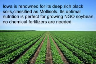 Laura Soybeans Identity Preserved label confirms non-GMO status.