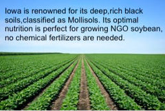 Laura Soybeans Identity Preserved label confirms non-GMO status.