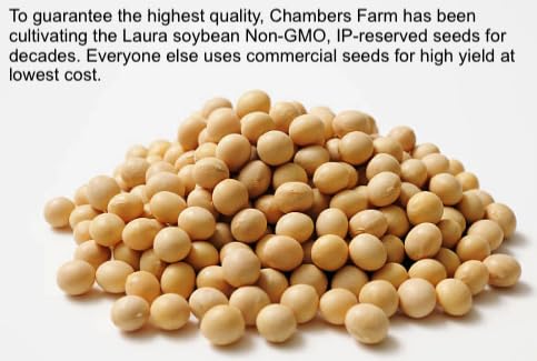 SoyaJoy Laura Soybeans: home use for soy milk, tofu, tempeh with G5.