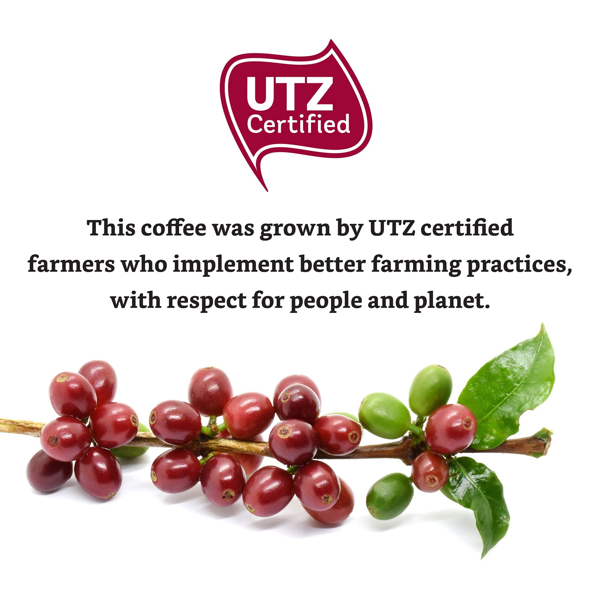 Solimo Belgium-roasted coffee ensures consistent flavor.