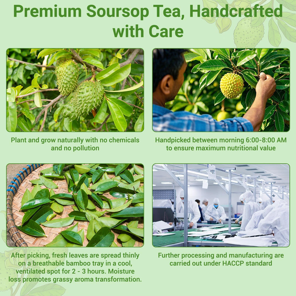 Solisleaf biodegradable corn-fiber teabags highlight eco-friendly brewing.