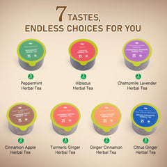 Solisleaf Citrus Ginger tea box delivers bright aroma for daytime refreshment.