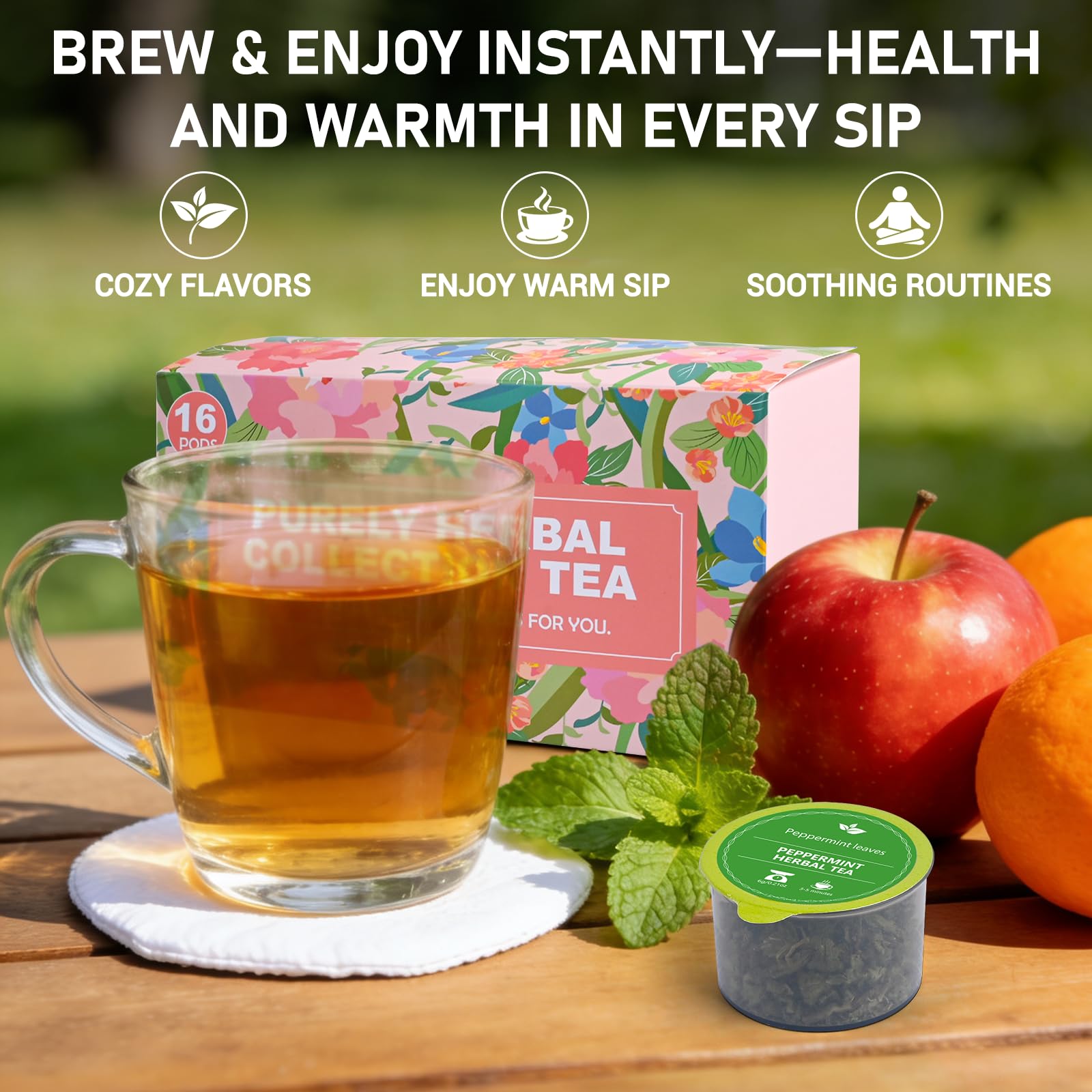 Solisleaf Ginger Cinnamon tea box features zesty warmth for cozy afternoons.