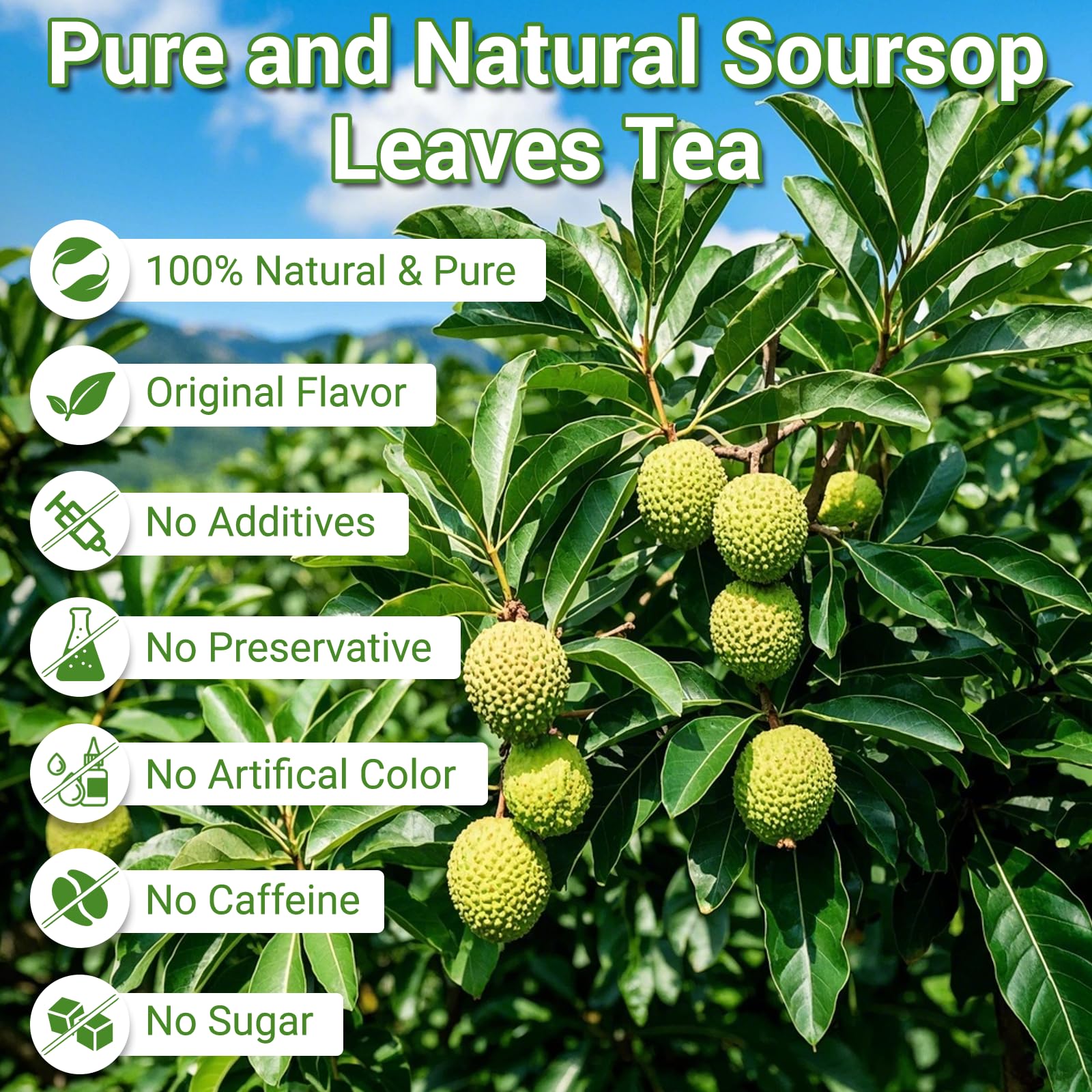 Solisleaf soursop tea brew hot cup for relaxing evenings.