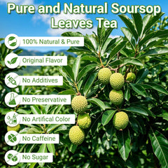 Solisleaf soursop tea brew hot cup for relaxing evenings.