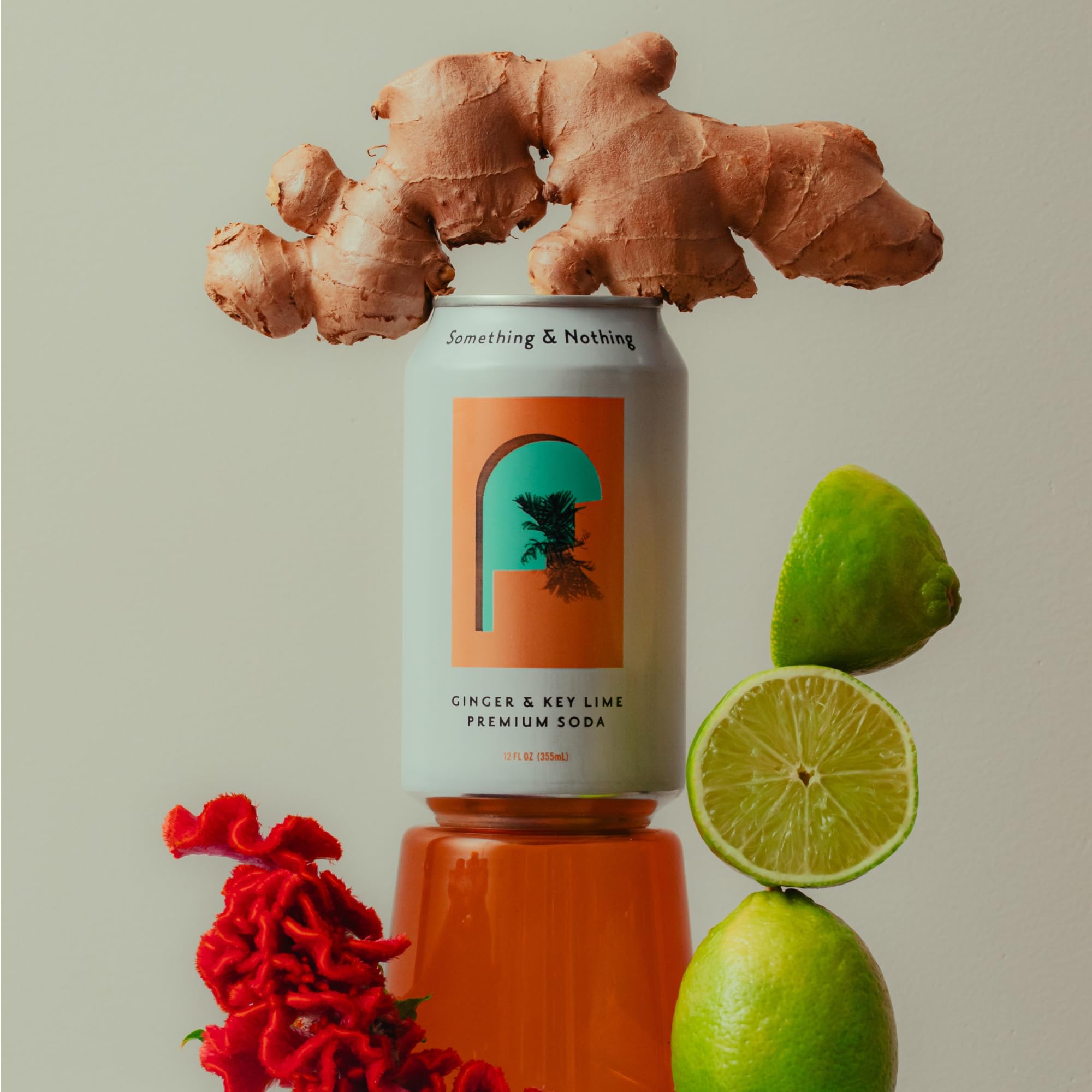 Something & Nothing pack-front image for a fridge-ready, shareable beverage collection.