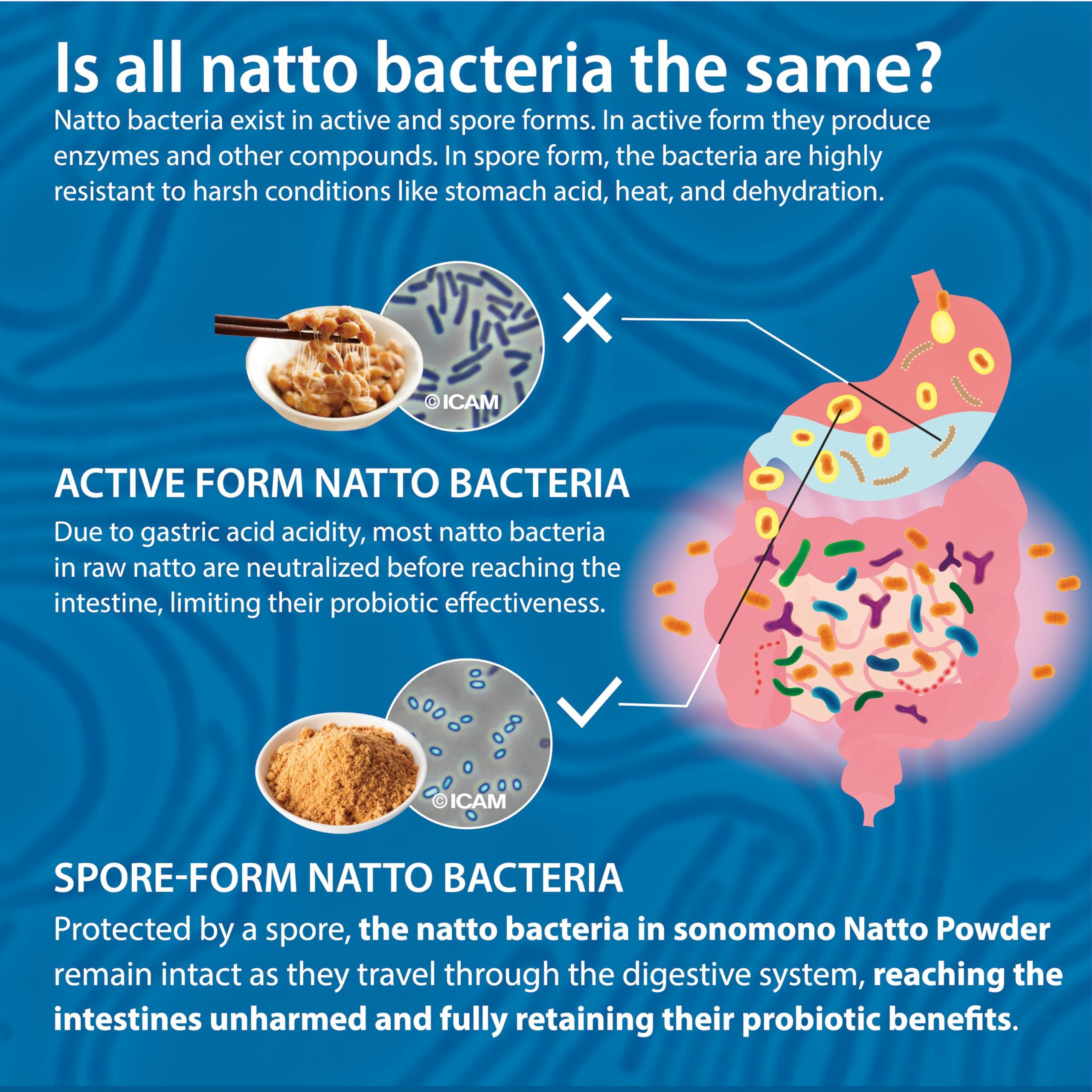sonomono natto powder measuring spoon enables easy portions