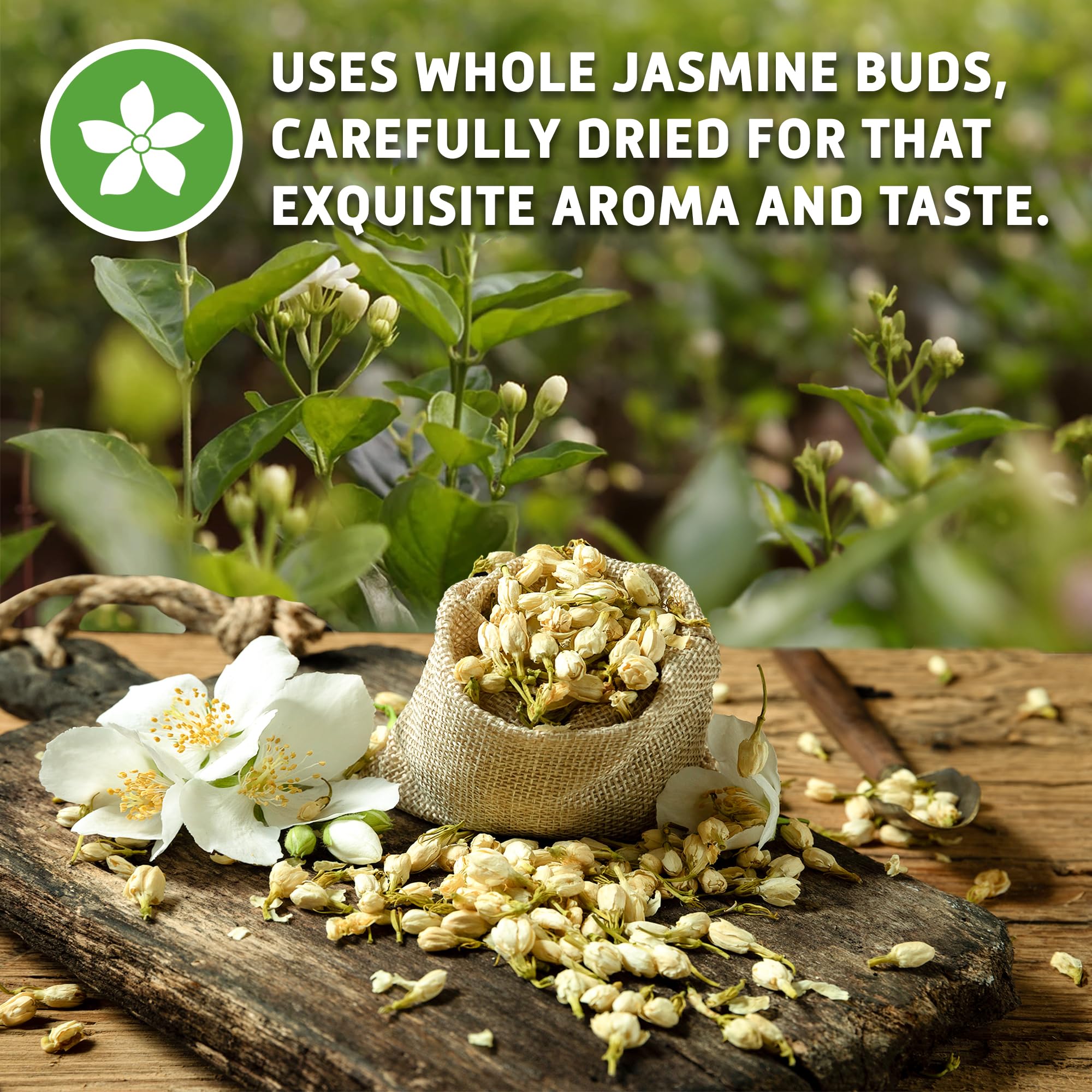 Steam rising from Sou Zen Jasmine Green Tea in a cup, inviting aroma.
