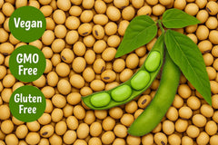 SOYFUL IP soybeans bulk bag, Identity Preserved for reliable sourcing