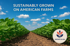 SOYFUL US-grown soybeans in a bowl, ideal for homemade dairy alternatives