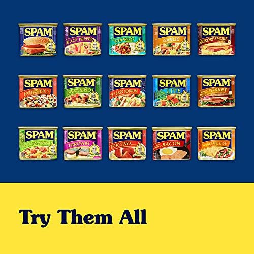SPAM Classic meal plate with slices shows family-friendly serving idea.