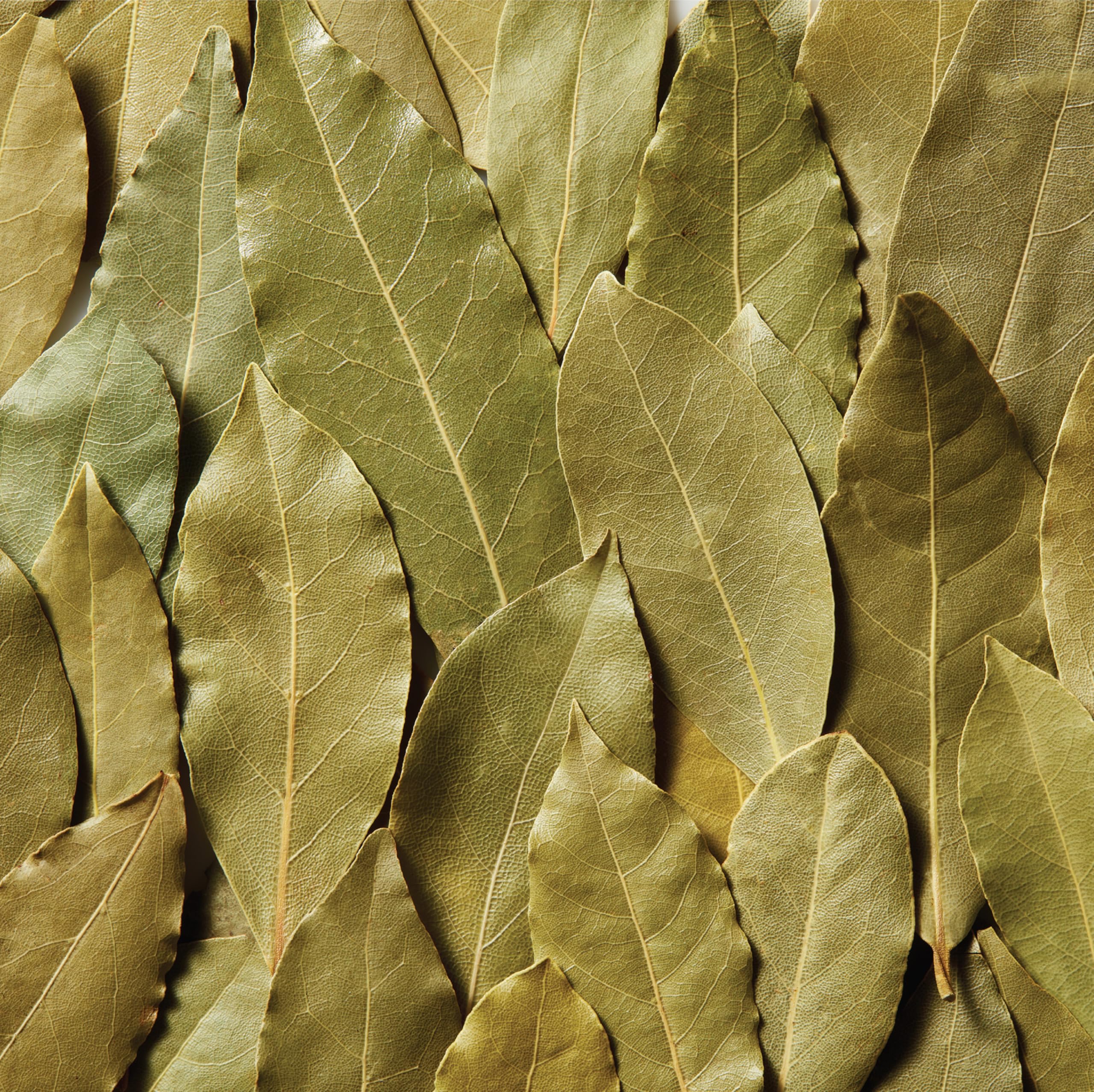 Vinegar infusion with Spice Classics bay leaves for layered flavor
