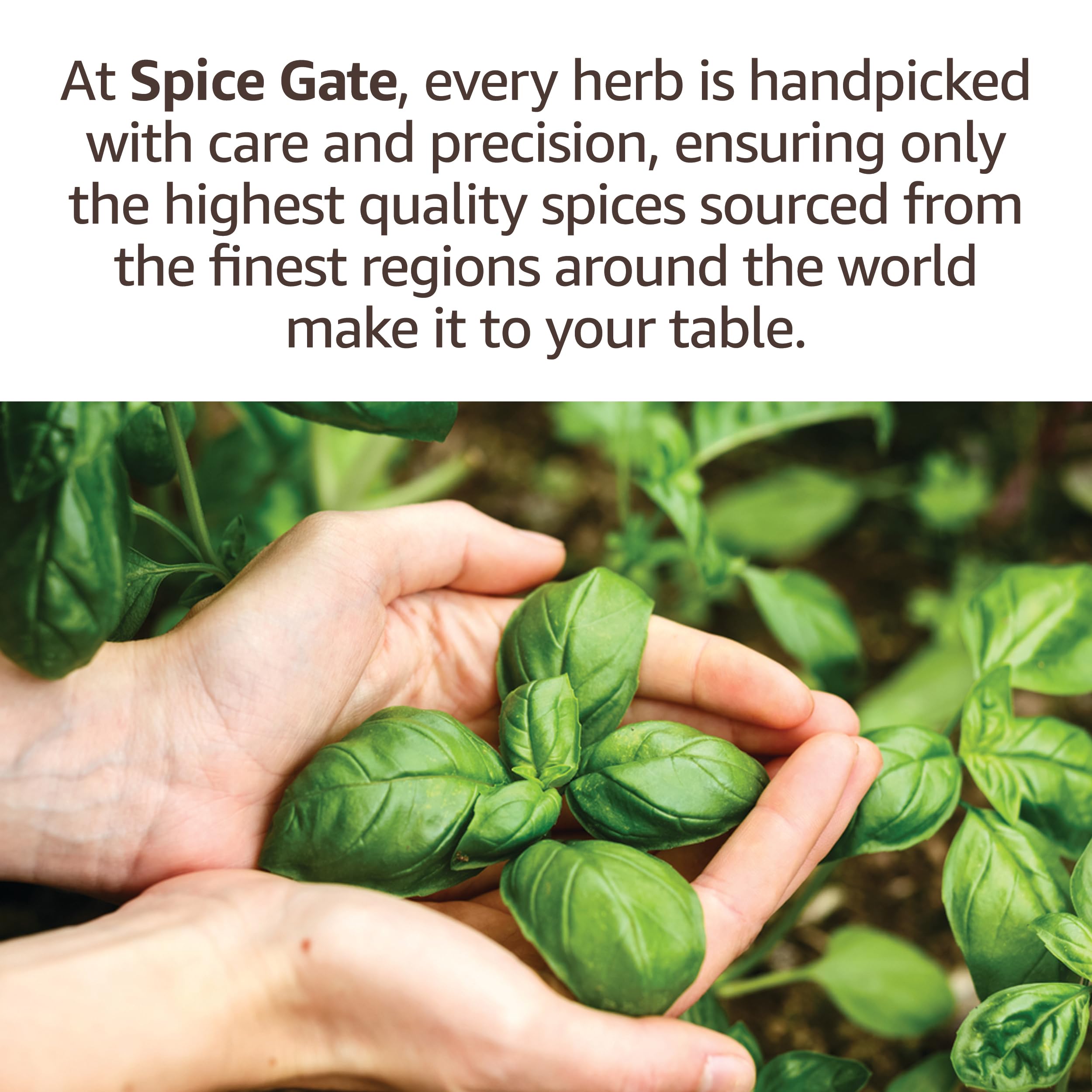 Spice Gate Baharat close-up of herbs and seeds for authentic flavor