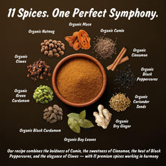 Spice Profile 11-spice blend closeup highlighting balanced aroma for curries.
