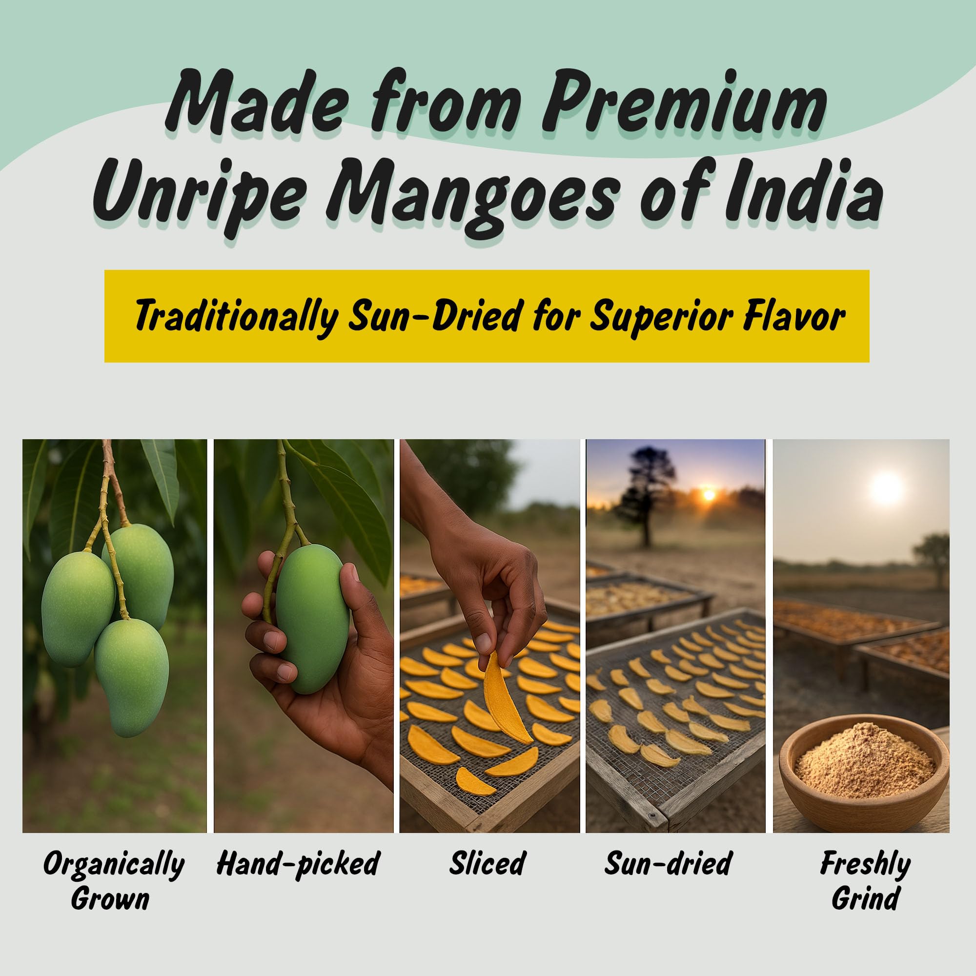 Spice Profile amchur powder loose texture shows vibrant mango flavor notes.