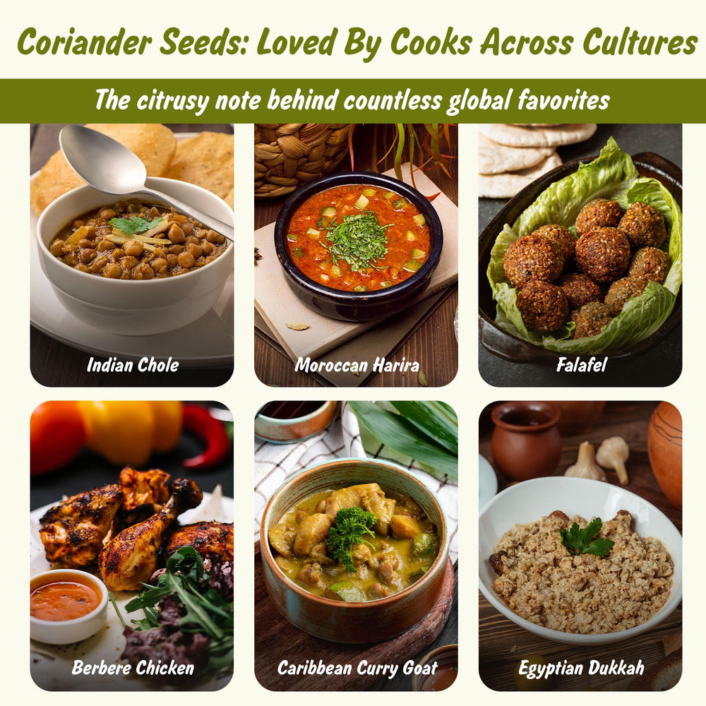 Spice Profile Coriander Powder enhances curries and marinades