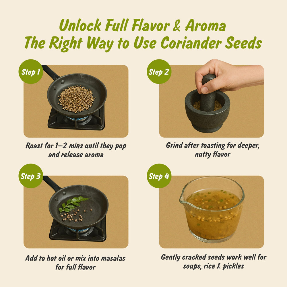Versatile Spice Profile coriander seeds ideal for custom spice blends.
